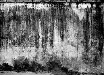 TGA历年年度游戏得主汇总 2024年会是黑神话吗？