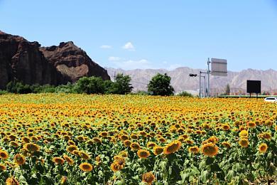 暴雪前总裁：主机永远不会死 索尼独占策略很成功